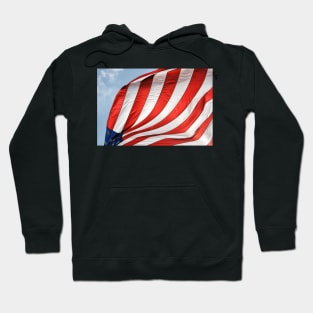 Fabric of Our Freedom Hoodie